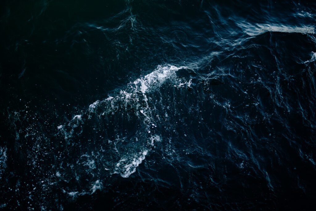 Wave 2 Funding Call: Wave Devouring Propulsion for Decarbonisation of Marine Transportation: A Novel Hydrofoil Set Image