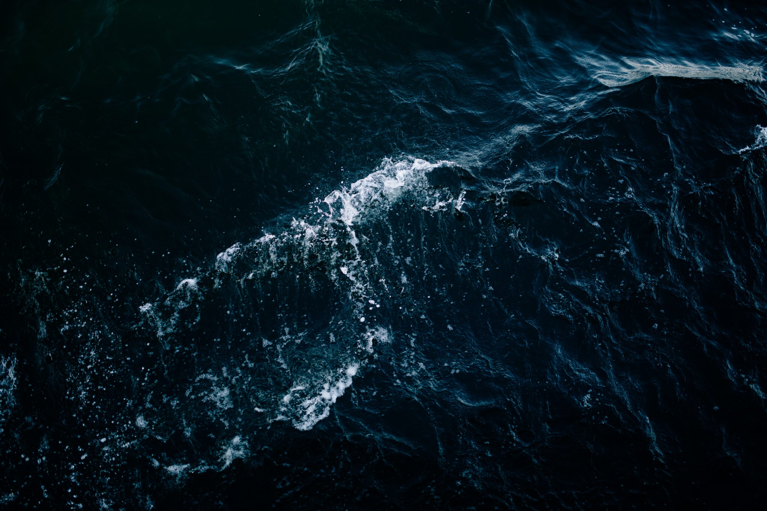 Wave 2 Funding Call: Wave Devouring Propulsion for Decarbonisation of Marine Transportation: A Novel Hydrofoil Set Image
